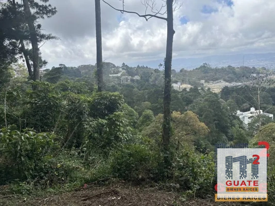 Terreno en Venta, Carretera a El Salvador - 4