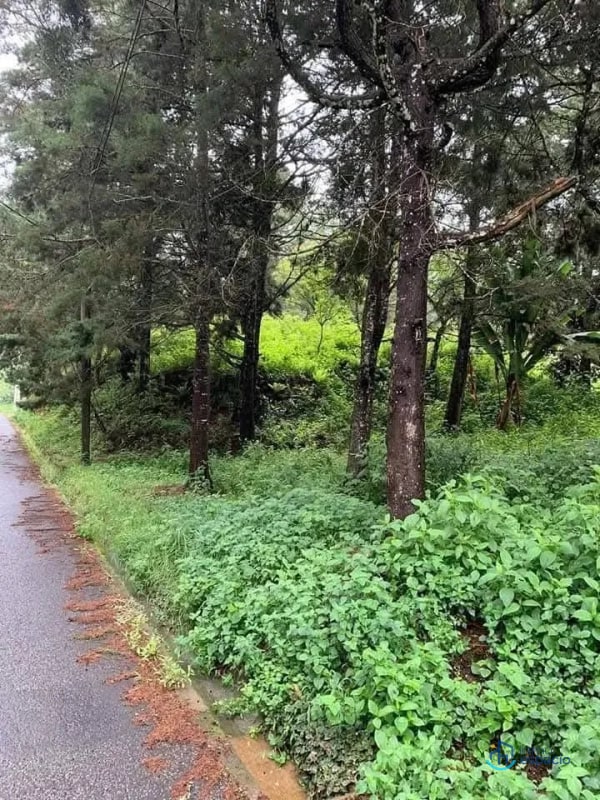 Terreno en venta – Km. 16 Carretera a El Salvador - 15