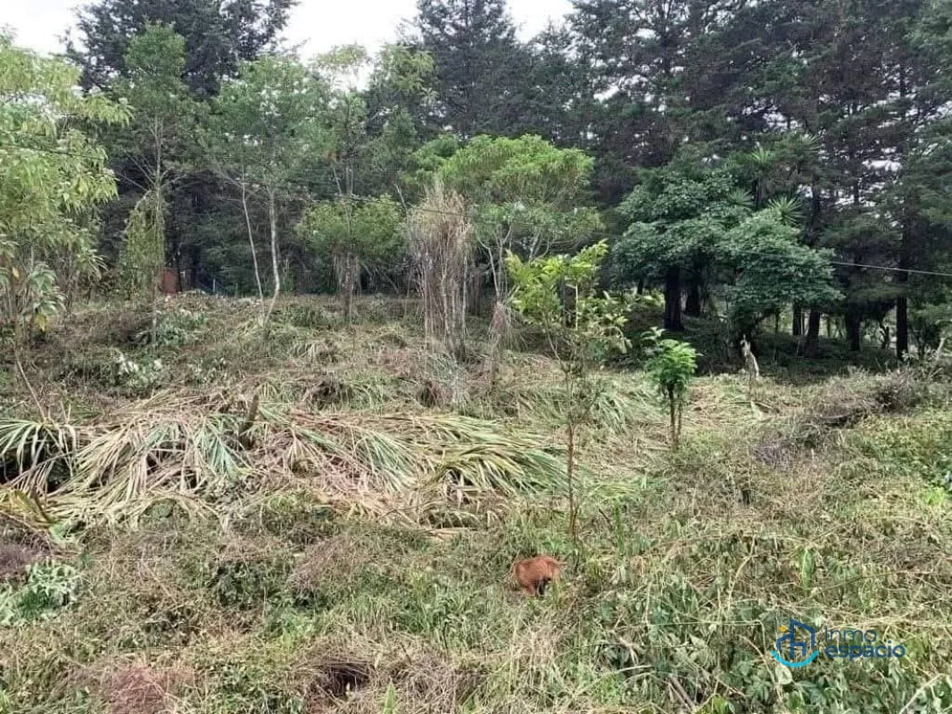 Terreno en venta – Km. 16 Carretera a El Salvador - 9