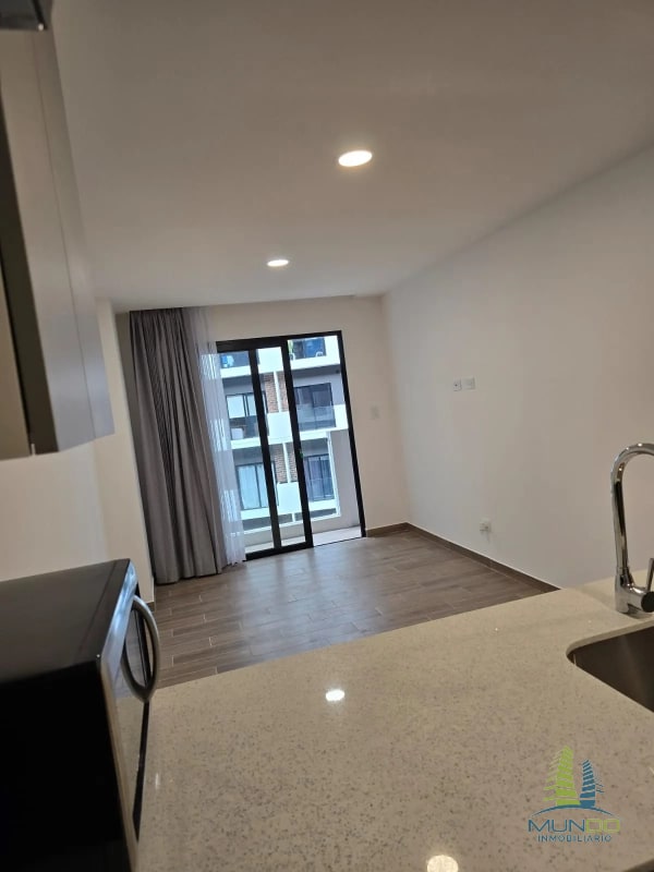APARTAMENTO EN RENTA PARQUE 14 - 3