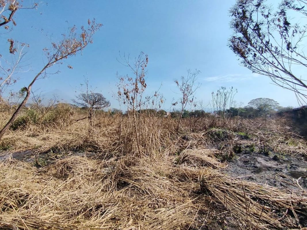 Alquilo terreno en Escuinta de 2.5 manzanas, muy cerca de Prados de la Costa Sur — Terreno en Alquiler en Costa Sur, Escuintla — foto 10 de 12