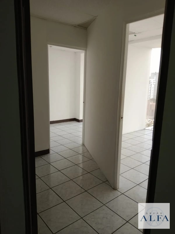 OFICINA RENTA 85 MTS EDIFICIO DIAMOND ZONA 10 - 5