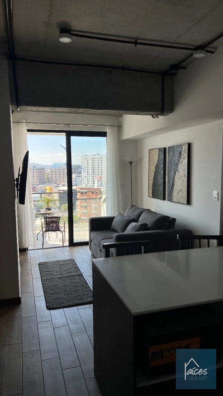 Apartamento amueblado en renta INARA Zona 4 (D) - 10
