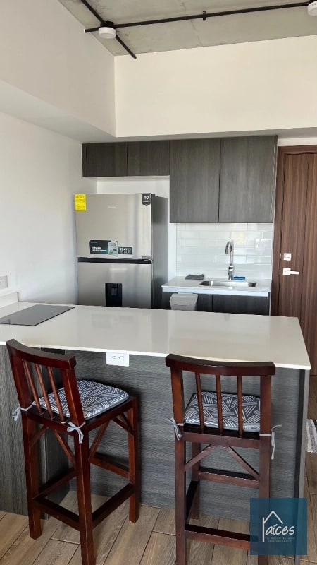 Apartamento amueblado en renta INARA Zona 4 (D) - 9