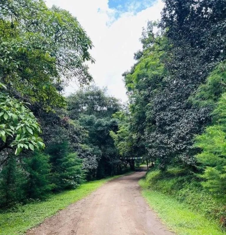 TERRENO EN VENTA EN HACIENDA LAS LLANURAS, KM 43.8 SUMPANCO, SACATEPEQUEZ — Terreno en Venta en Sumpango, Sacatepéquez — foto 2 de 15