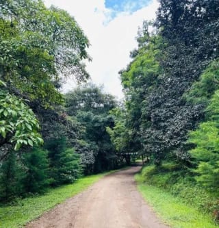 TERRENO EN VENTA EN HACIENDA LAS LLANURAS, KM 43.8 SUMPANCO, SACATEPEQUEZ — Terreno en Venta en Sumpango, Sacatepéquez — miniatura 2 de 15