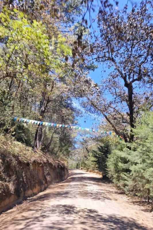 TERRENO EN VENTA EN HACIENDA LAS LLANURAS, KM 43.8 SUMPANCO, SACATEPEQUEZ — Terreno en Venta en Sumpango, Sacatepéquez — foto 7 de 15