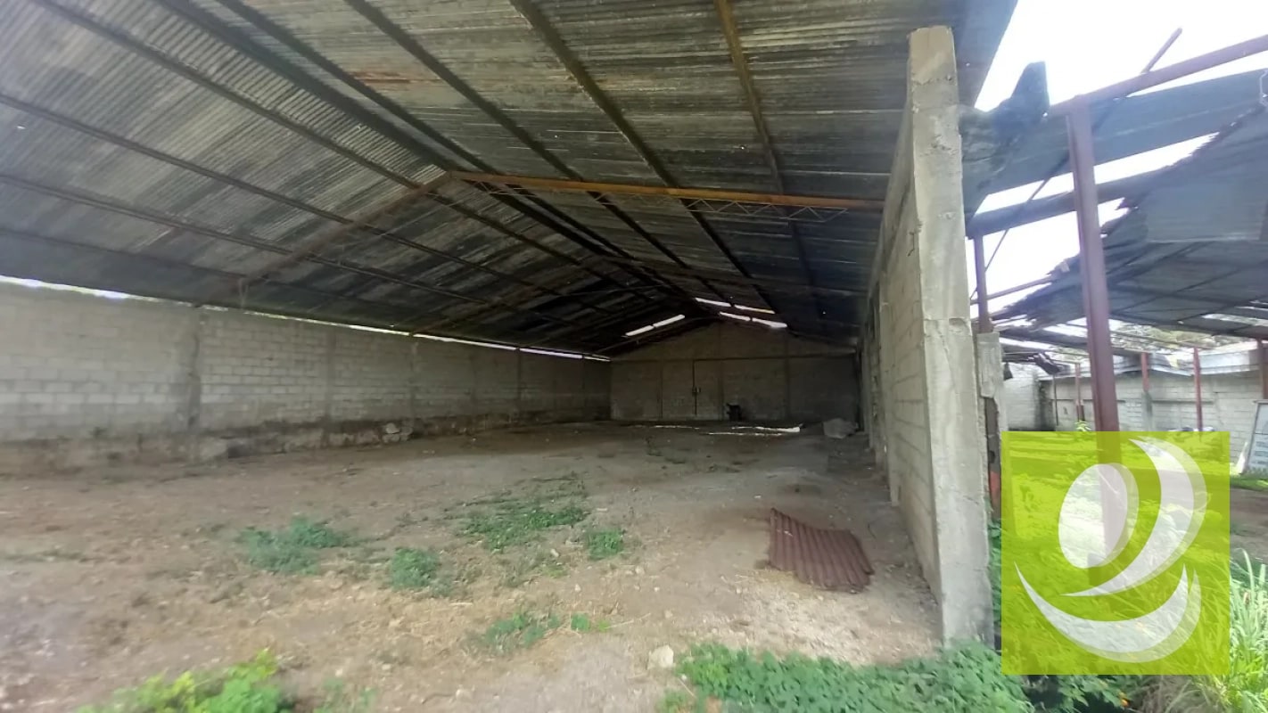 TERRENO EN VENTA Y EN RENTA EN VILLA NUEVA - 5