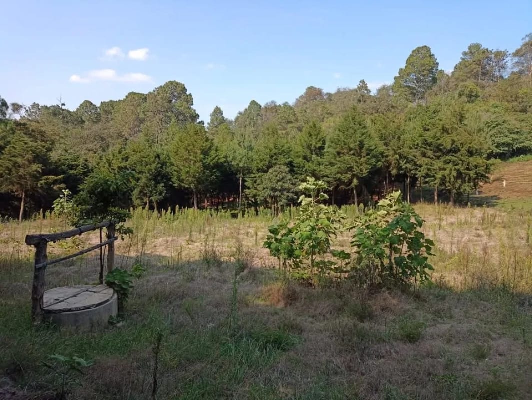 Terreno en Santa María Cauqué, Santiago Sacatepéquez — Terreno en Venta en Santiago Sacatepéquez, Sacatepéquez — foto 2 de 3