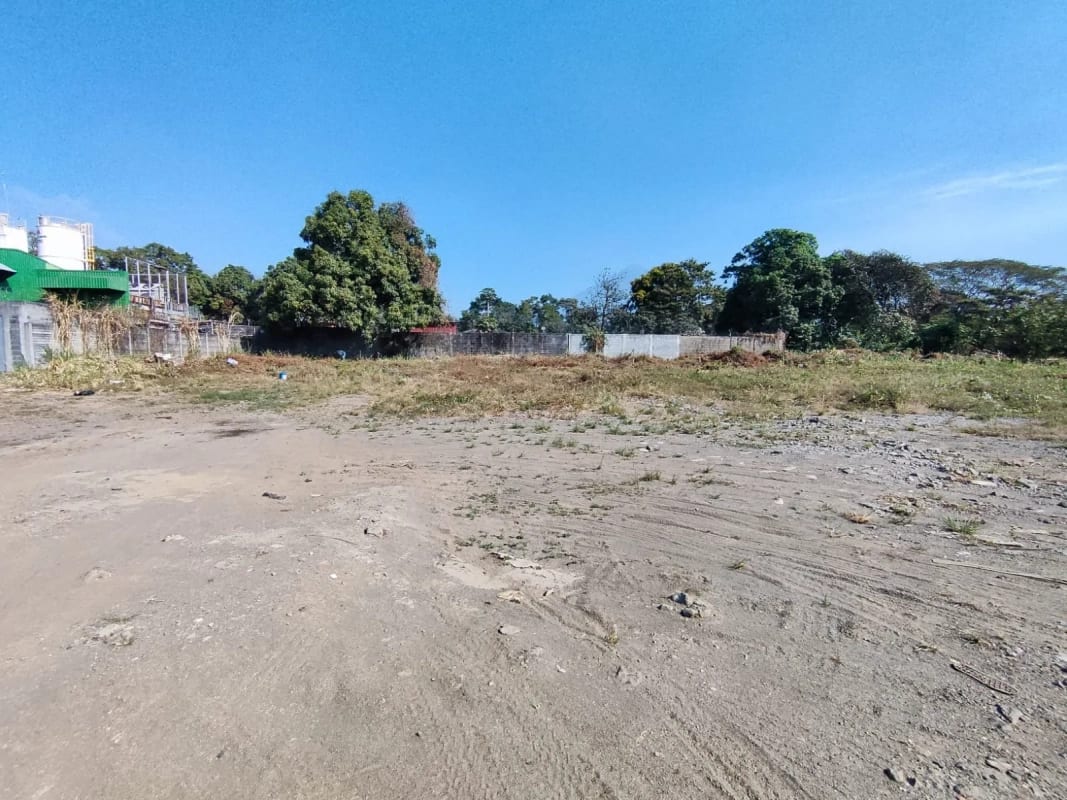Rento terreno en Escuintla a largo plazo, pegado a la Despensa Familiar — Terreno en Alquiler en Palín, Escuintla — foto 3 de 9