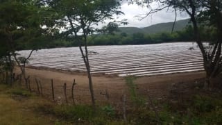 Se vende finca de 26.7 manzanas en El Progreso, Guastatoya — Finca en Venta en El Jícaro, El Progreso — miniatura 7 de 9