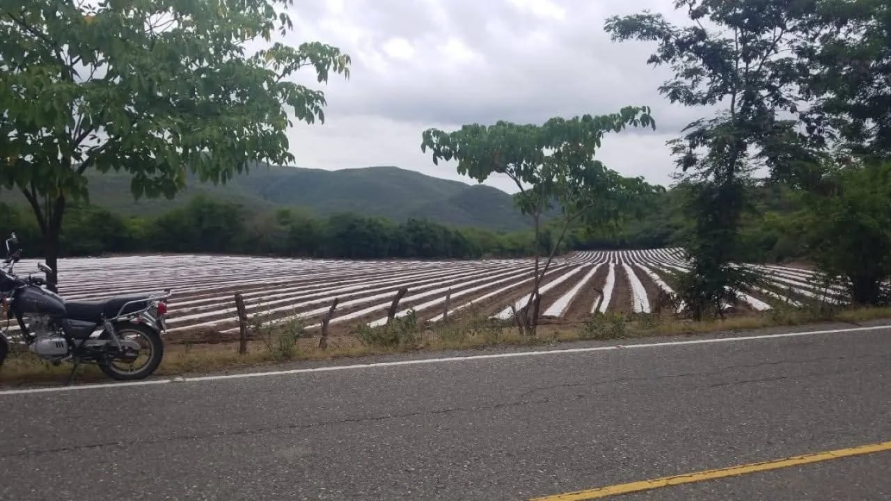 Se vende finca de 26.7 manzanas en El Progreso, Guastatoya — Finca en Venta en El Jícaro, El Progreso — foto 5 de 9