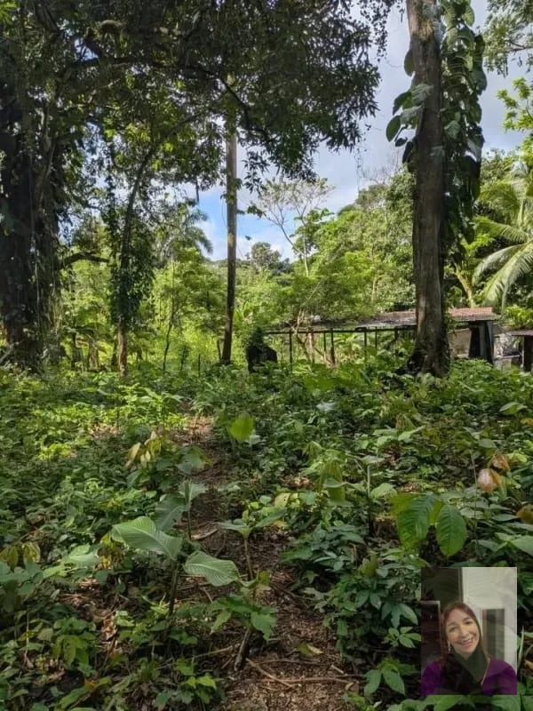 1 terreno rústicos Aldea Buena Vista, Miramar, Livingston  — Terreno en Venta en Livingston, Izabal — foto 9 de 10