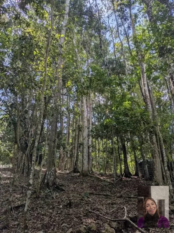 1 terreno rústicos Aldea Buena Vista, Miramar, Livingston  — Terreno en Venta en Livingston, Izabal — foto 5 de 10