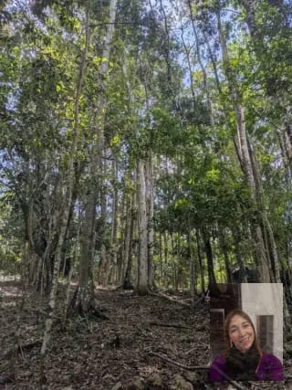 1 terreno rústicos Aldea Buena Vista, Miramar, Livingston  — Terreno en Venta en Livingston, Izabal — miniatura 5 de 10