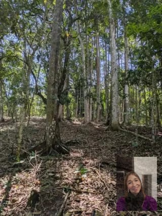 1 terreno rústicos Aldea Buena Vista, Miramar, Livingston  — Terreno en Venta en Livingston, Izabal — miniatura 4 de 10