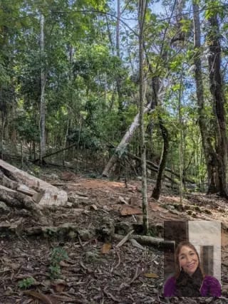 1 terreno rústicos Aldea Buena Vista, Miramar, Livingston  — Terreno en Venta en Livingston, Izabal — miniatura 3 de 10