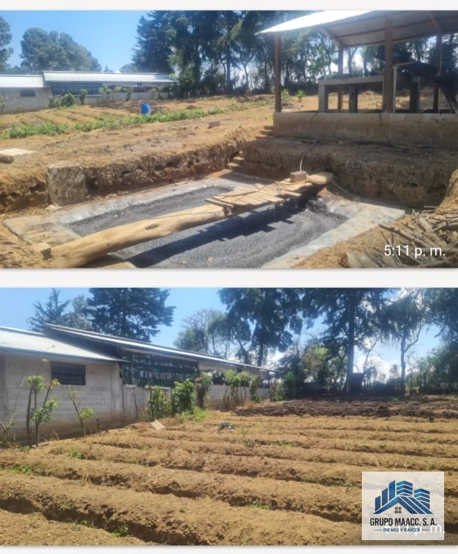 VENTA GRANJA PORCINA EN FUNCIONAMIENTO - 6