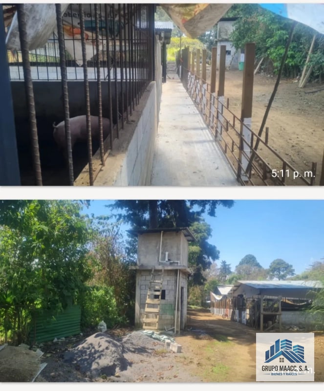 VENTA GRANJA PORCINA EN FUNCIONAMIENTO - 5