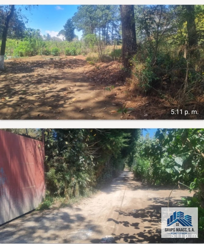 VENTA GRANJA PORCINA EN FUNCIONAMIENTO - 3