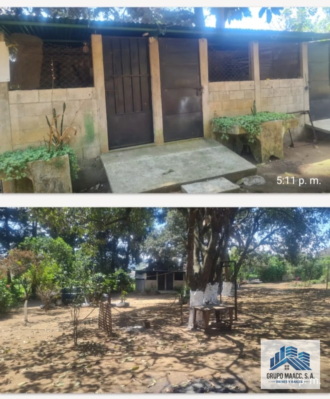 VENTA GRANJA PORCINA EN FUNCIONAMIENTO - 2