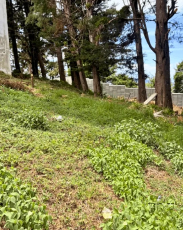 TERRENO EN VENTA EN SANTA CATARINA PÍNULA - 2