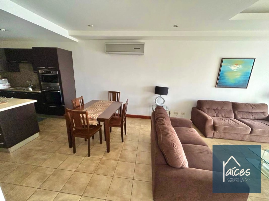 Apartamento en renta SAN PATRICIO 1 ZONA 14 (D) - 13