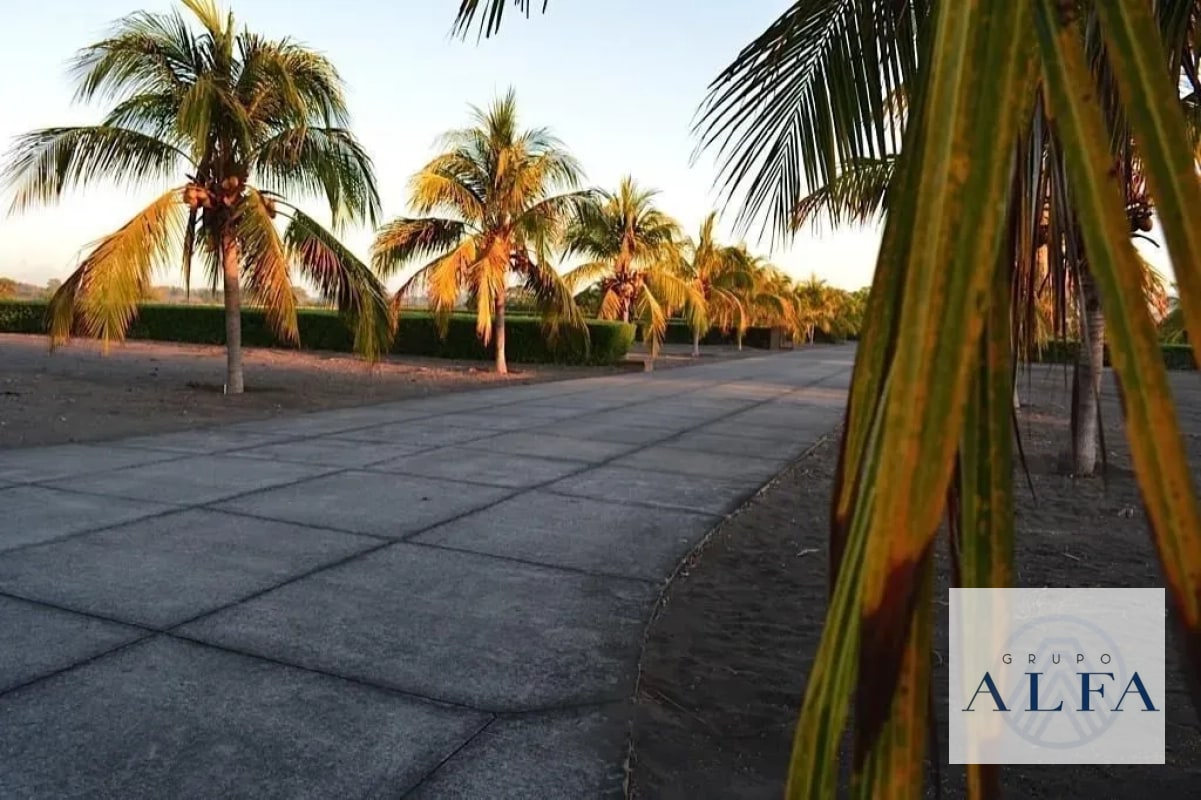 TERRENO 2,000 VARAS EN VENTA PALMERAS DE MONTERRICO - 3