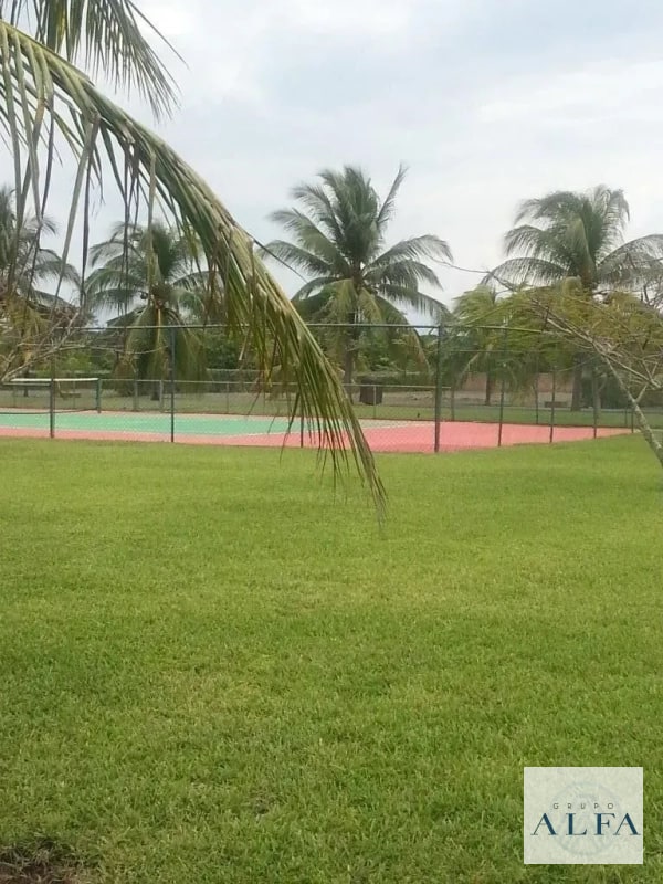 CASA EN RENTA PALMERAS DE MONTERRICO - 3