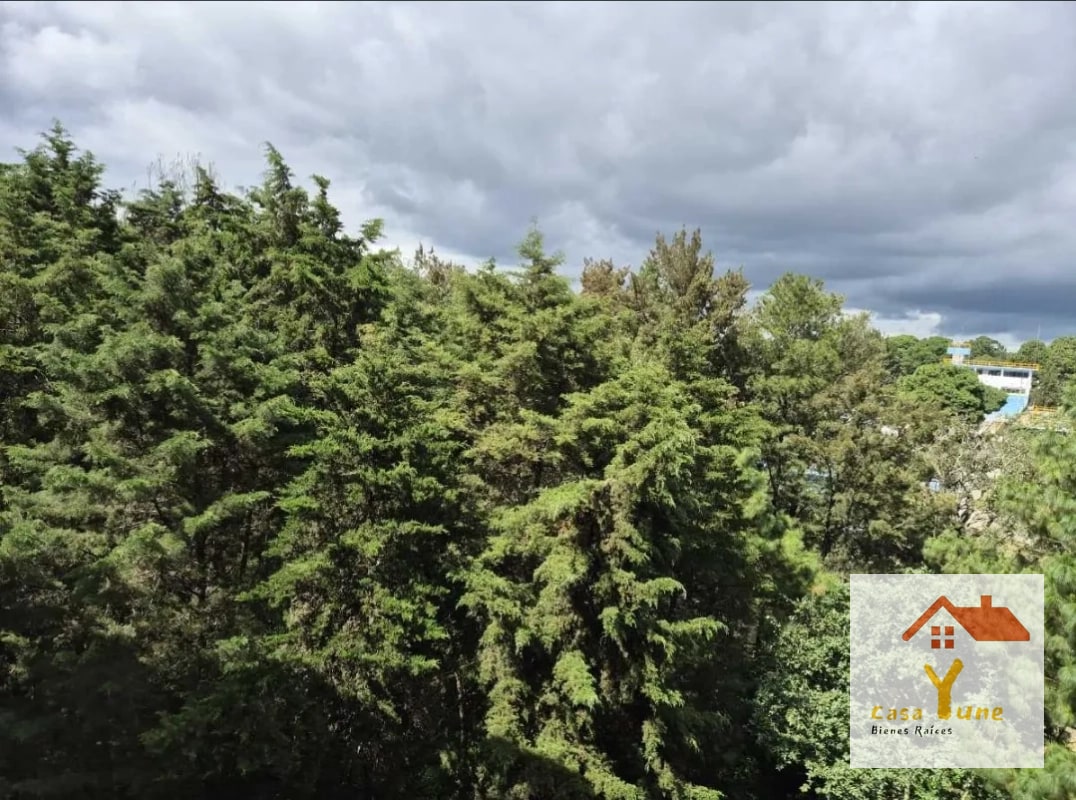 Apartamento en alquiler zona 16 San Isidro 2021 - 2