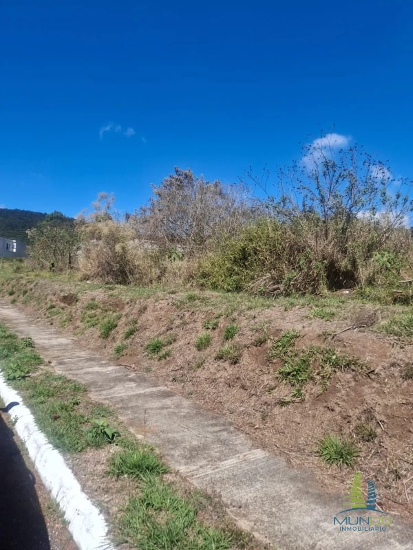 TERRENO EN CONDOMINIO MONTECRISTO/ SAN JOSE PINULA - 3