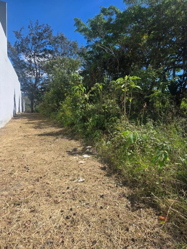 Terreno plano en zona 16 dentro de la garita — Terreno en Venta en Zona 16, Guatemala, Ciudad — foto 3 de 3
