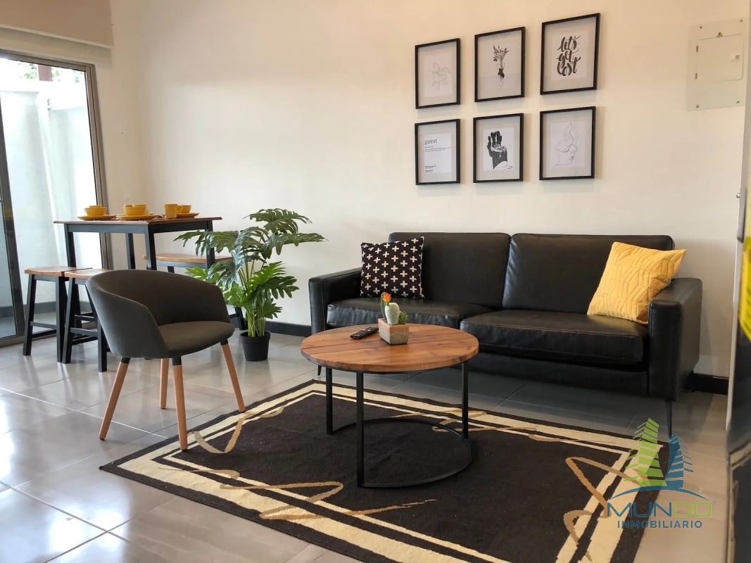 APARTAMENTO AMOBLADO TIPO LOFT EN RENTA, Z. 15 - 11