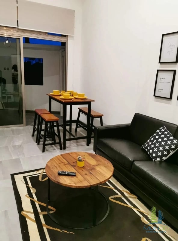 APARTAMENTO AMOBLADO TIPO LOFT EN RENTA, Z. 15 - 7