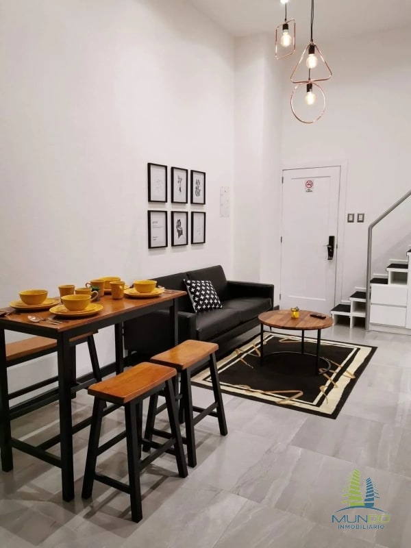APARTAMENTO AMOBLADO TIPO LOFT EN RENTA, Z. 15 - 6