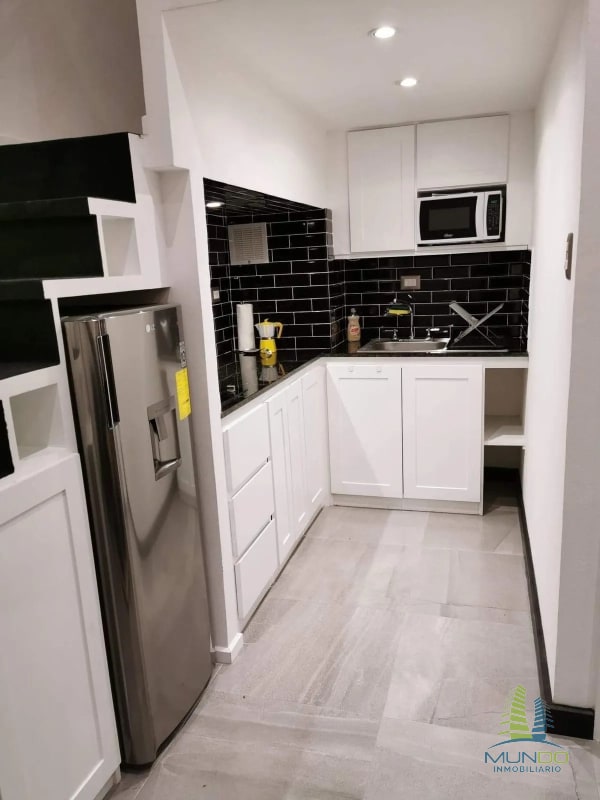 APARTAMENTO AMOBLADO TIPO LOFT EN RENTA, Z. 15 - 4