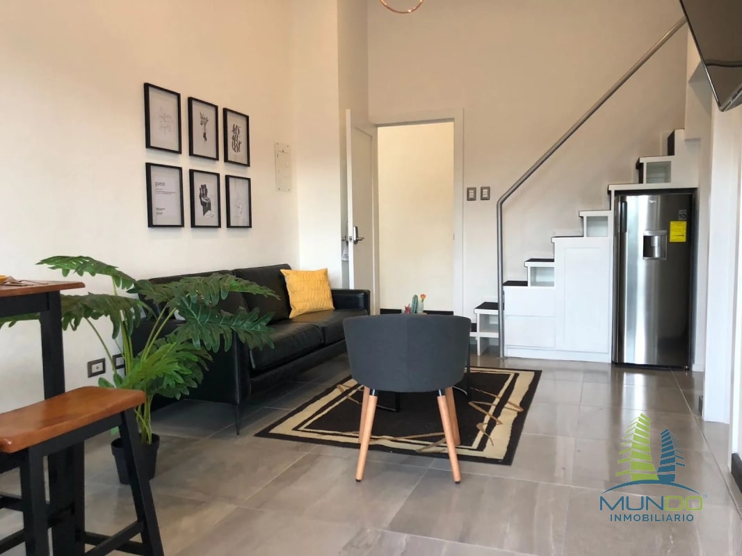 APARTAMENTO AMOBLADO TIPO LOFT EN RENTA, Z. 15 - 3