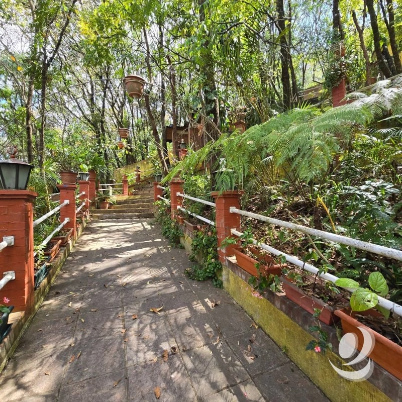 Casa Amueblada y 4 Bungalows (rentados) en Venta El Encinal Tronco 2 Zona 7 de Mixco - 5