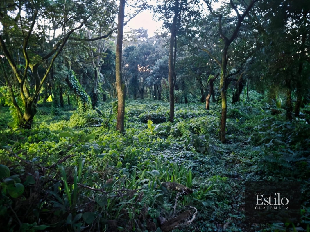 Terreno En Venta Premier Campestre - 1