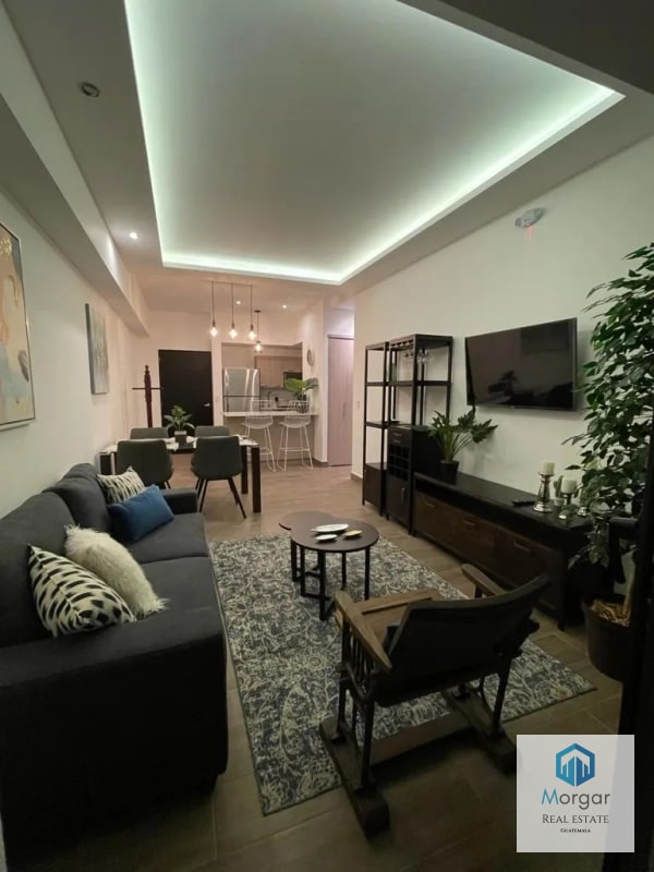 Apartamento amuebaldo en renta - 13