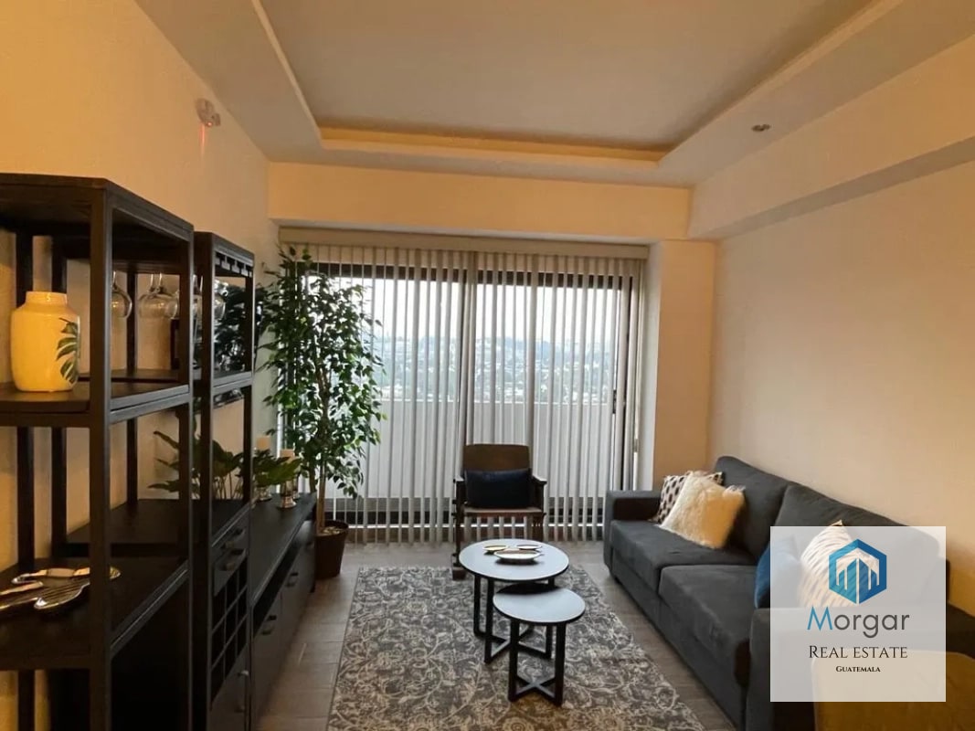 Apartamento amuebaldo en renta - 9