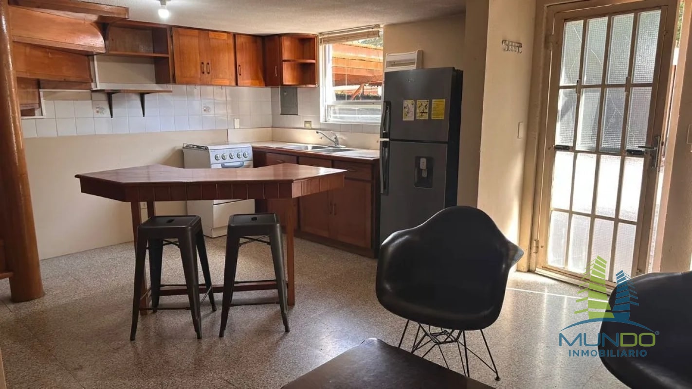 APARTAMENTO TIPO LOFT EN RENTA EN ZONA 15 - 9