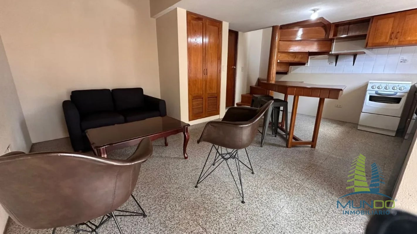 APARTAMENTO TIPO LOFT EN RENTA EN ZONA 15 - 1