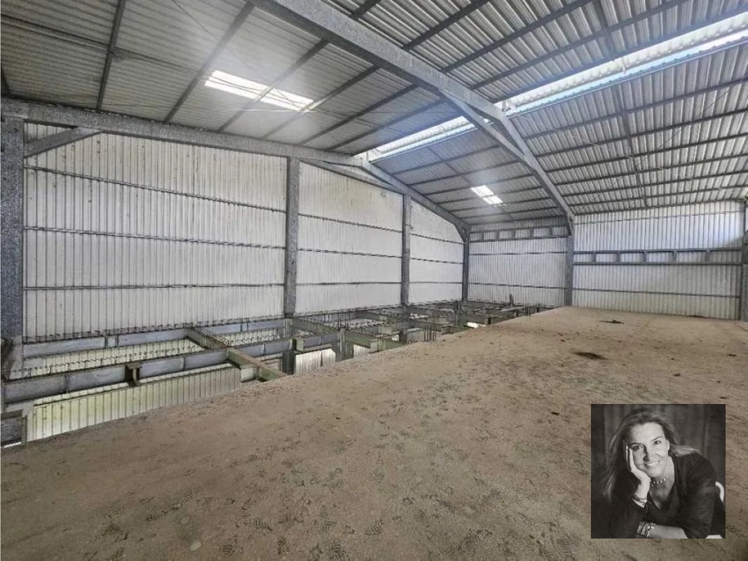 Bodega Industrial en VENTA – Sector VAS / Villa Nueva - 8
