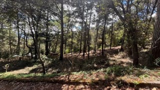 Venta de terreno en San Lucas Aldea El Choacorral  8,290 Vr2. — Terreno en Venta en San Lucas Sacatepéquez, Sacatepéquez — miniatura 1 de 4