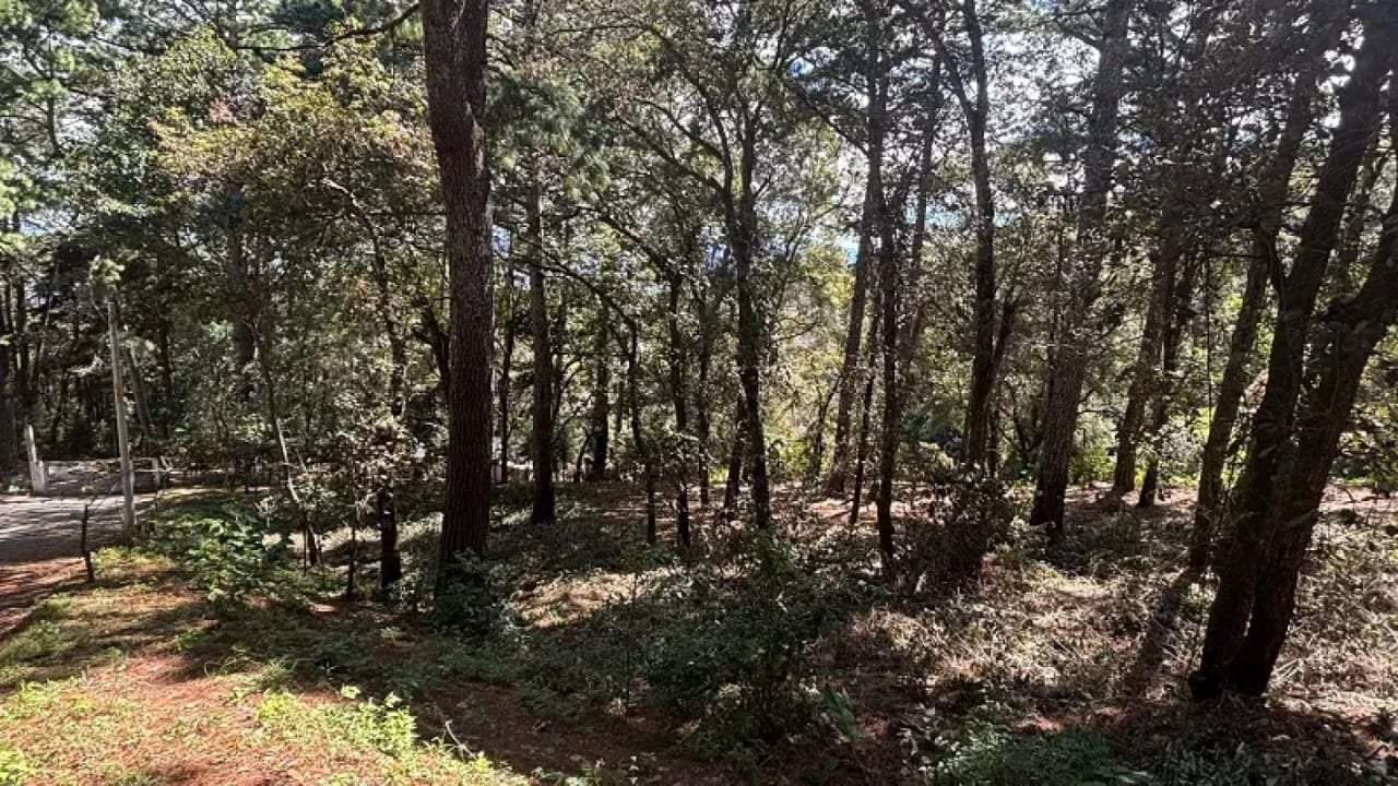 Venta de terreno en San Lucas Aldea El Choacorral 8,290 Vr2. — Terreno en Venta en San Lucas Sacatepéquez, Sacatepéquez — foto 4 de 4