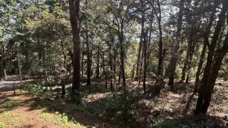 Venta de terreno en San Lucas Aldea El Choacorral  8,290 Vr2. — Terreno en Venta en San Lucas Sacatepéquez, Sacatepéquez — miniatura 4 de 4