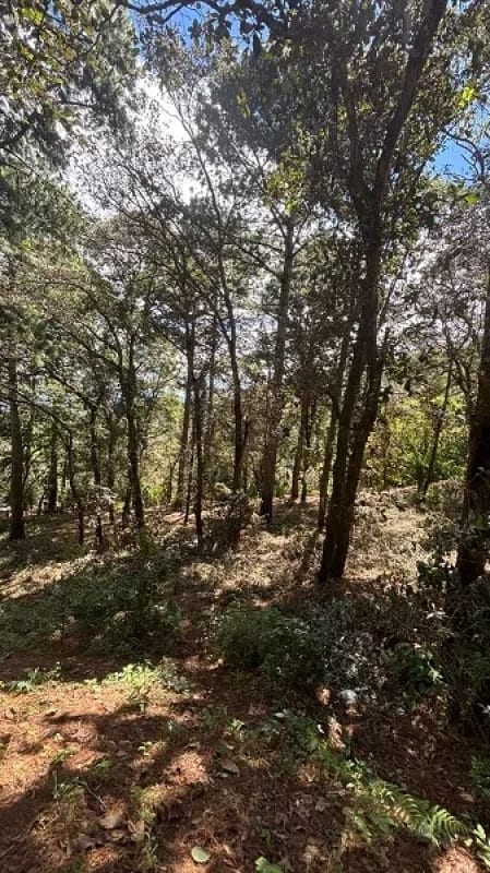 Venta de terreno en San Lucas Aldea El Choacorral 8,290 Vr2. — Terreno en Venta en San Lucas Sacatepéquez, Sacatepéquez — foto 3 de 4