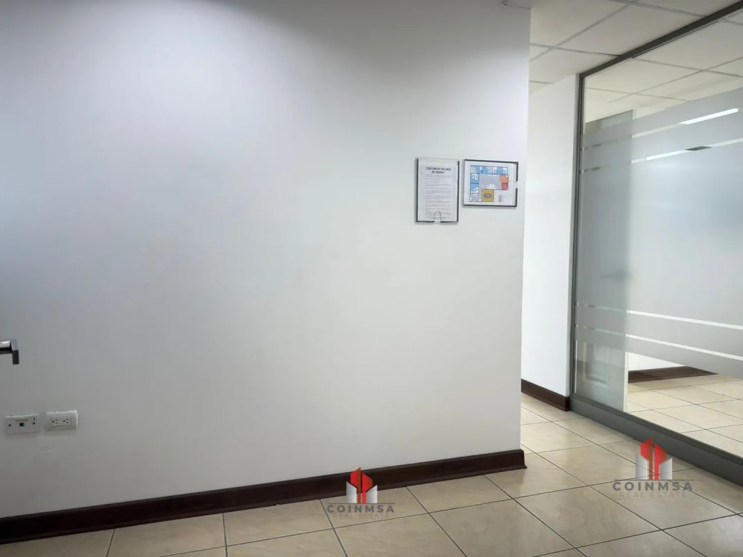 Oficina en renta zona 10 / Torino I - 11