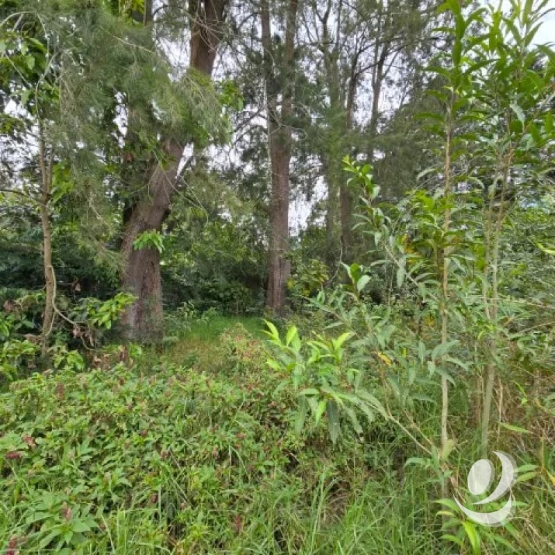 ¡¡¡Excelente Terreno en Venta San Lucas Sacatepéquez 1,500 mts2!!! - 5